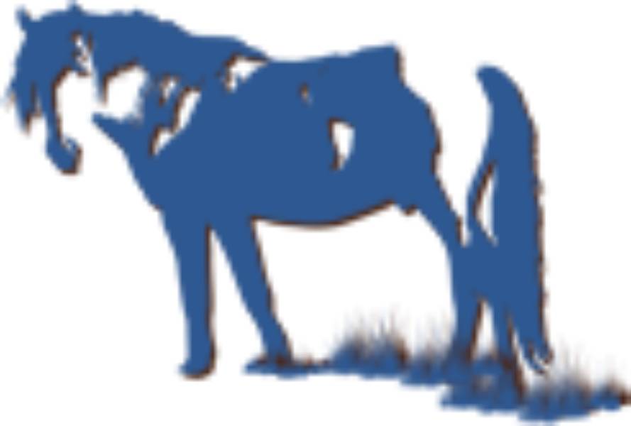 Республиканская палата местных пород лошадей мясного и молочного направления продуктивности