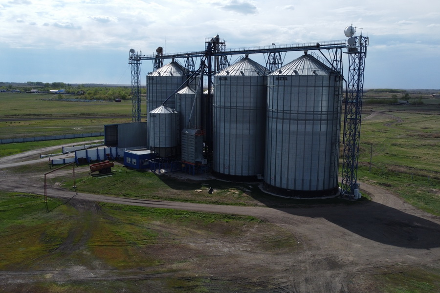 Казахстанский бизнес теряет $400 млн в год под давлением контрабанды  зерна из России