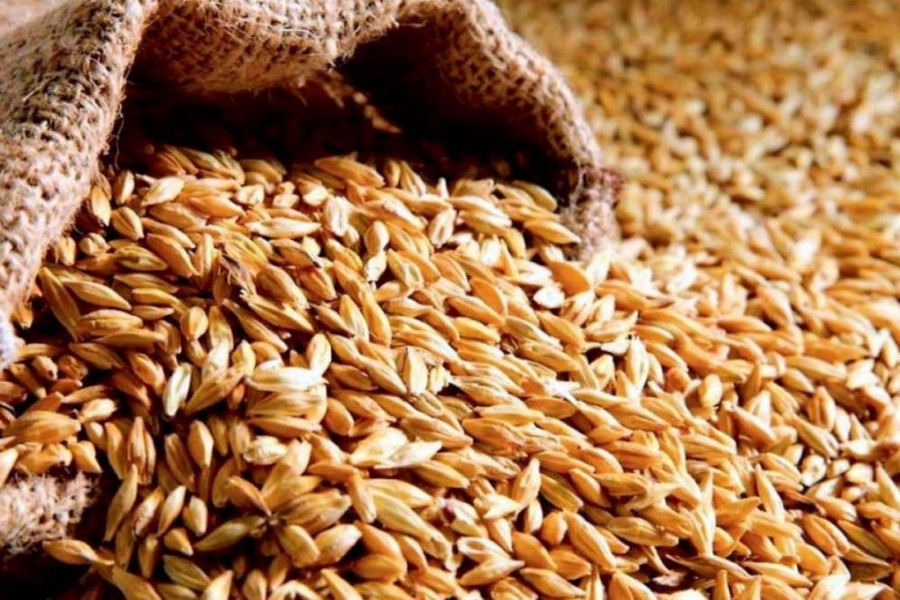 Запасы зерна в Казахстане составляют 10 млн тонн