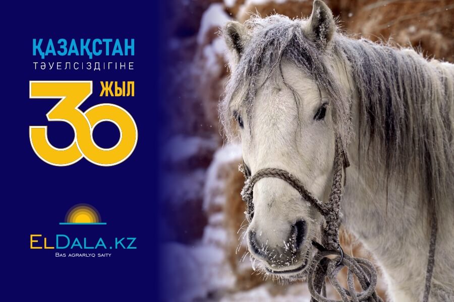 Аграрный Казахстан в цифрах: 30 лет независимости Республики