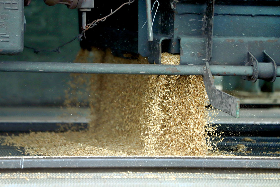 Казахстан запретил погрузку зерна, масличных и муки в Китай до конца января