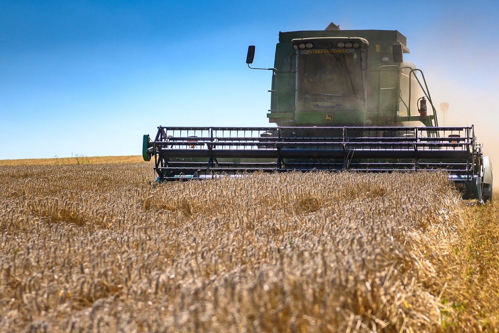 В 2020/21 МГ урожай зерновых в Казахстане вырастет до 18,3 млн т