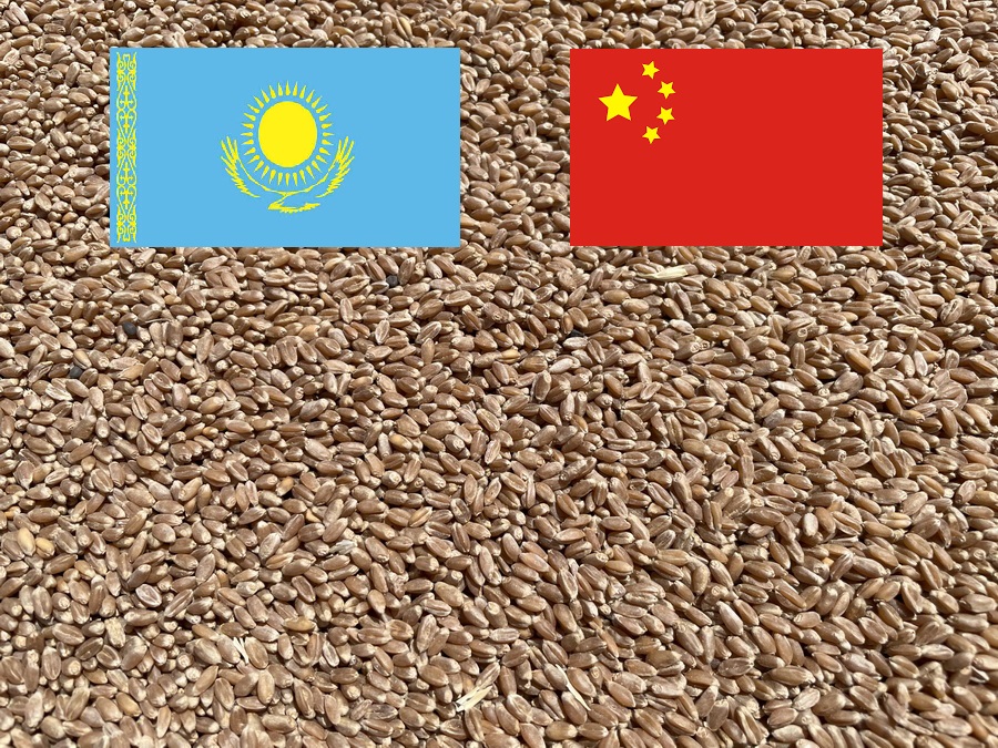 Более 200 тыс. тонн зерна отправит Продкорпорация в Китай в этом году