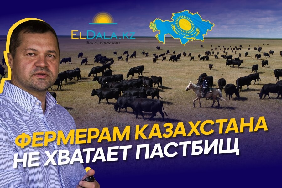 Сколько пастбищ в Казахстане реально пригодны для использования?
