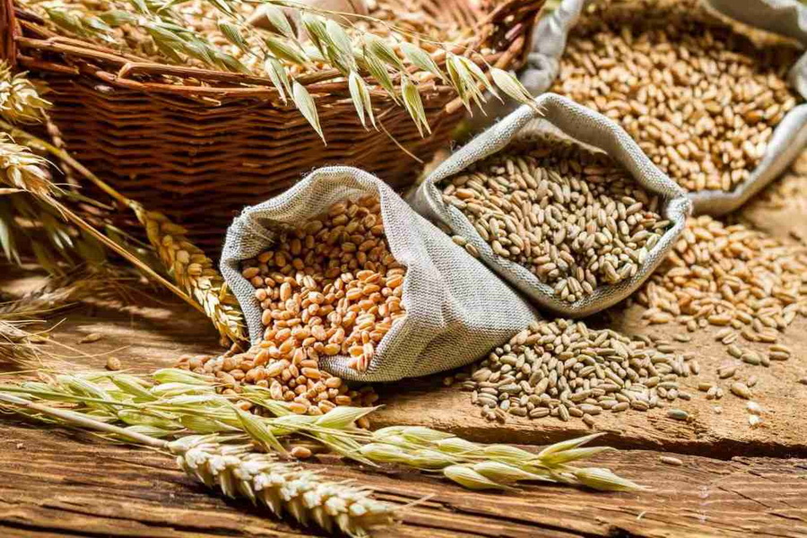 Казахстанские компании обвинили в незаконном закупе семян зерновых в Канаде