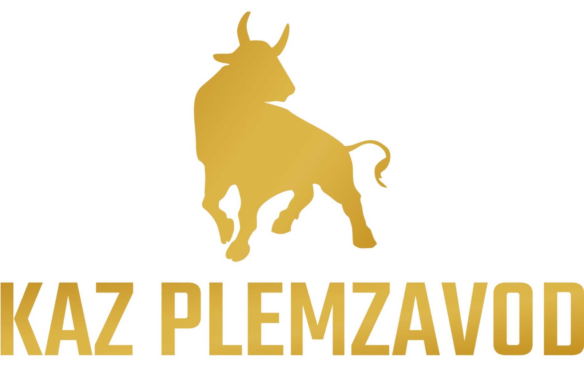 Откормочная площадка Kaz Plemzavod