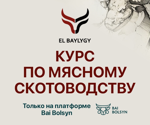 El Baylygy