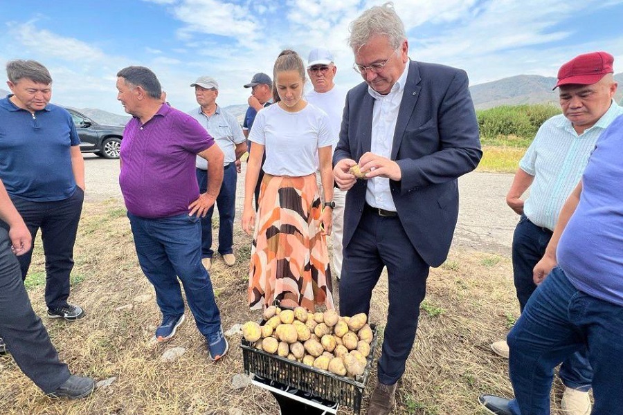 Farm Frites намерена построить завод по производству картофеля фри на юге Казахстана