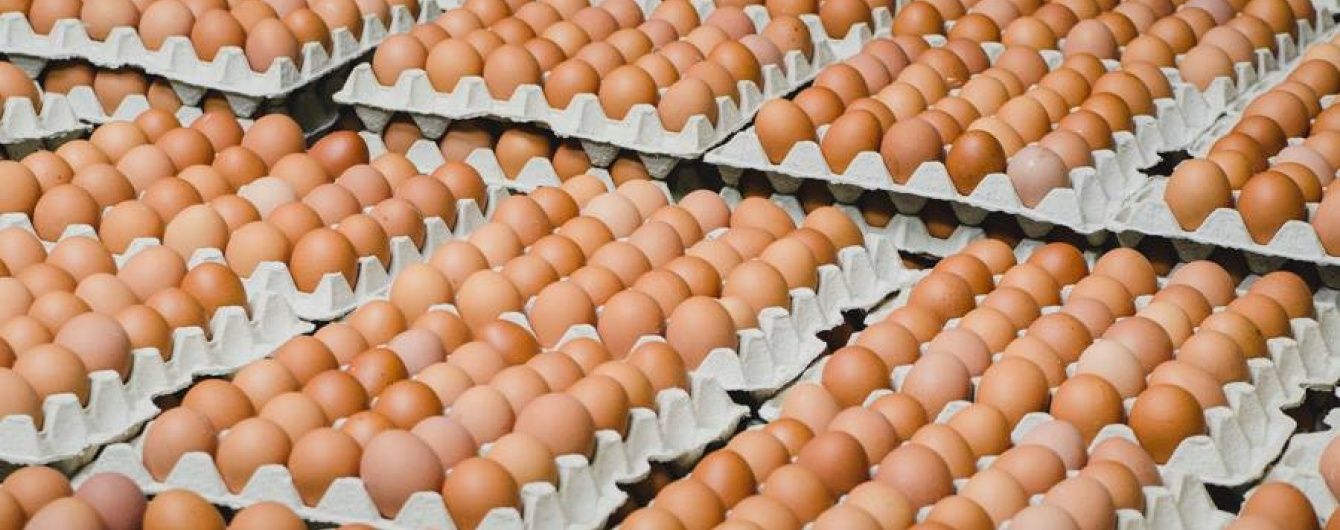Правила субсидирования производителей яиц изменятся – Минсельхоз