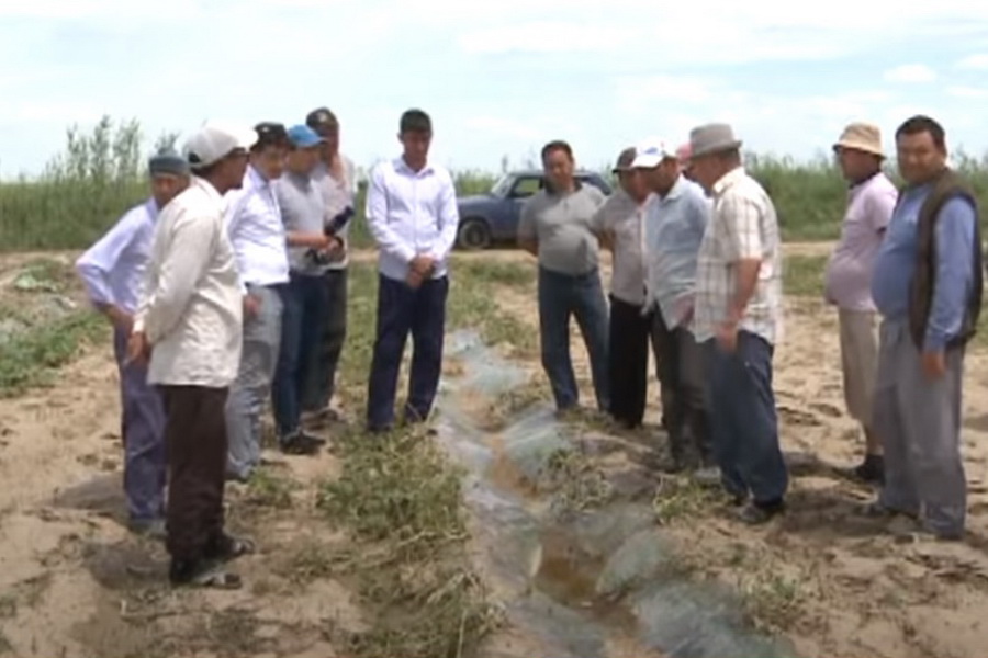 Град уничтожил посевы хлопка и дыни в Туркестанской области