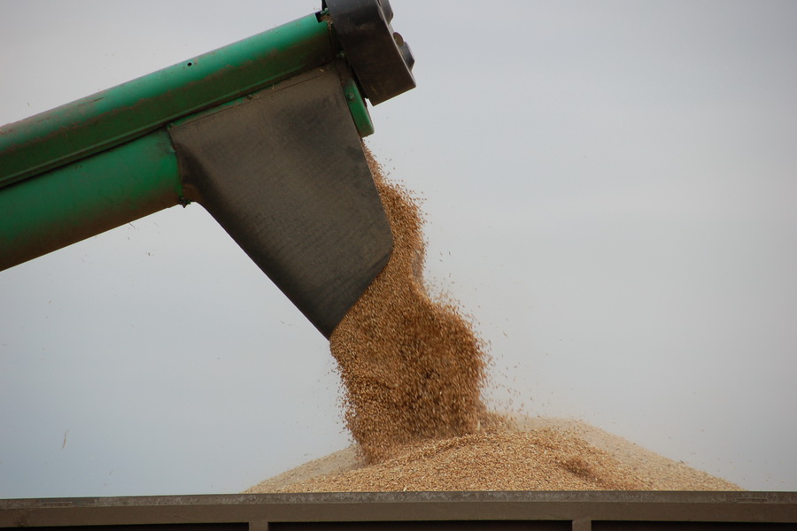 В КТЖ готовятся к перевозке зерна нового урожая