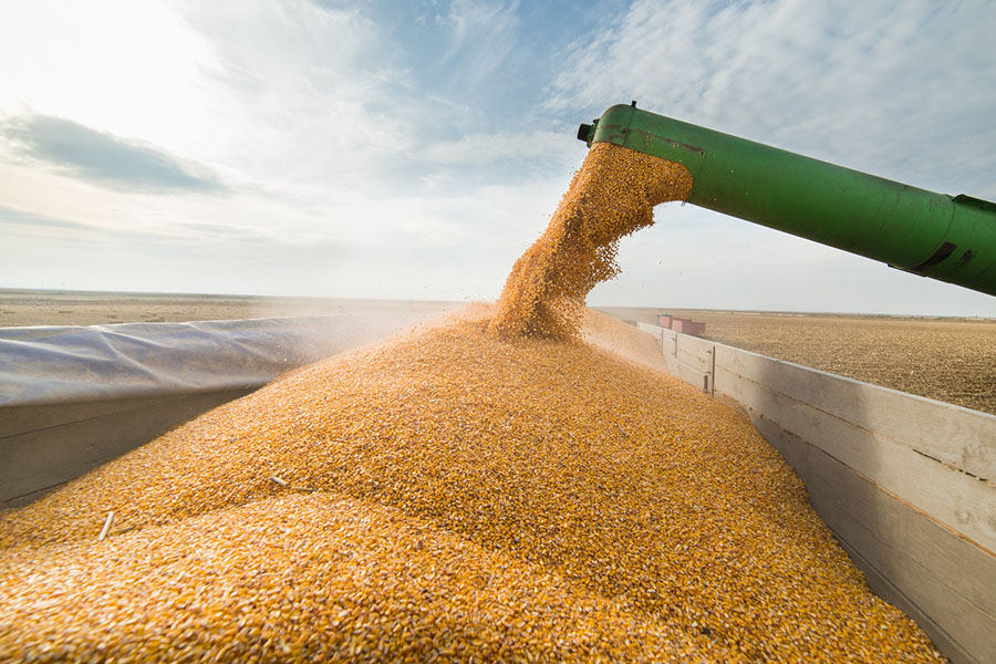 Казахстан планирует с 15 августа ограничить экспорт зерна
