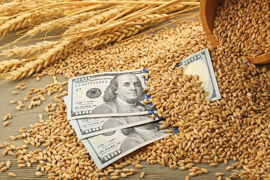 Тенге продолжает слабеть, а пшеница дешеветь