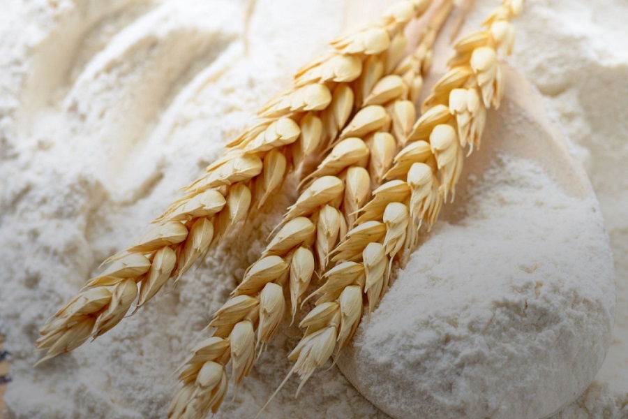 В мае квота на экспорт пшеницы может увеличится до 250 тыс. т — Сапархан Омаров