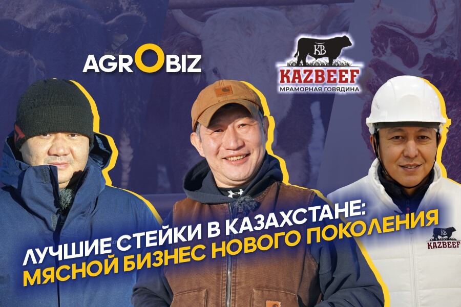 Бизнес на мясе в Казахстане: как разводят, откармливают КРС и делают лучшие стейки