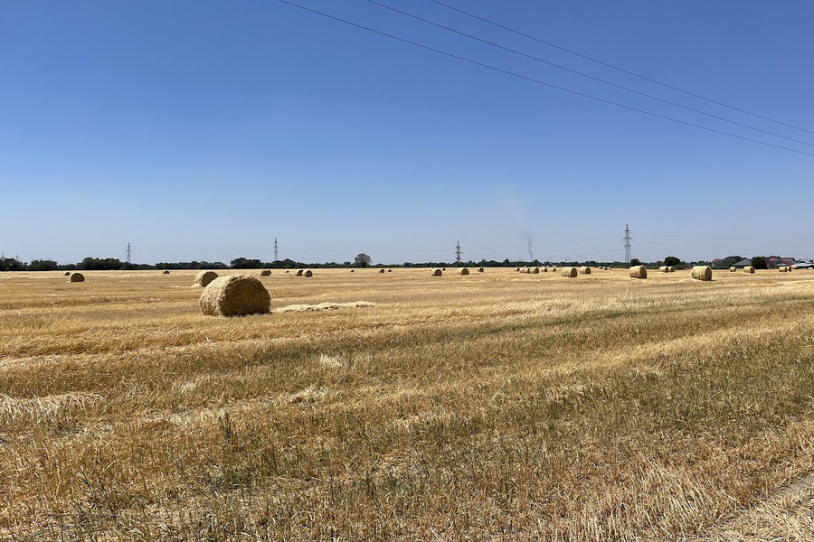 В Казахстане изъяли 10 млн сельхозземель