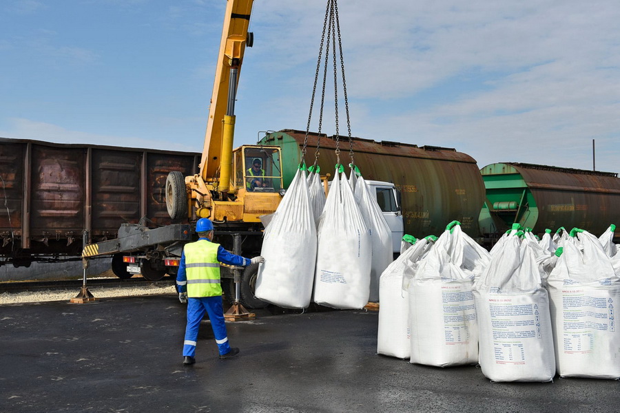 Еще 78 казахстанских предприятий смогут экспортировать семена льна в Китай 