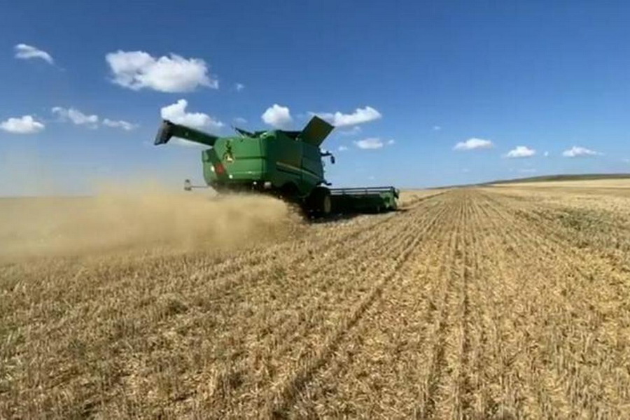 Урожайность зерновых в Карагандинской области ожидается 8–10 ц/га 