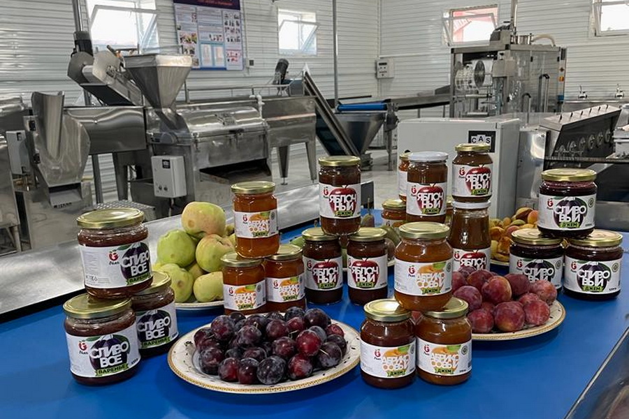 Что сдерживает развитие переработки фруктов и ягод в Казахстане