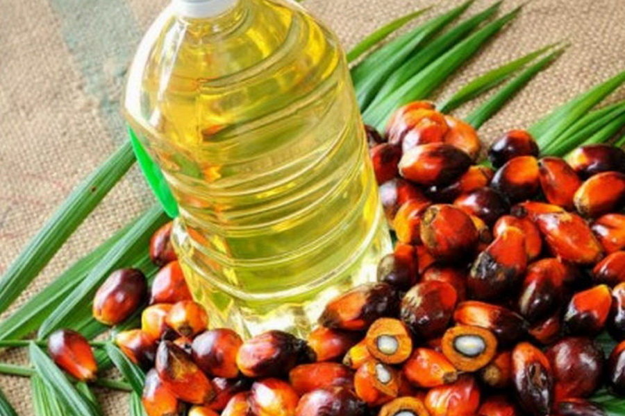 В ЕАЭС сократят использование пальмового масла в пищепроме