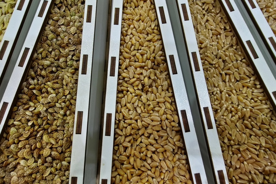 ЕЭК расследовала нарушения на трансграничных рынках семян