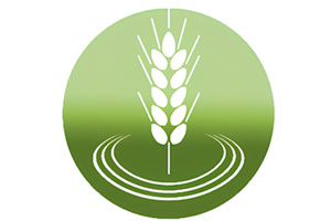 Агрофирма Родина