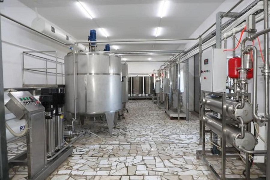 Завод по переработке верблюжьего молока запущен в Туркестанской области