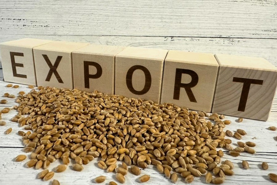 Продкорпорация нарастит экспорт зерна