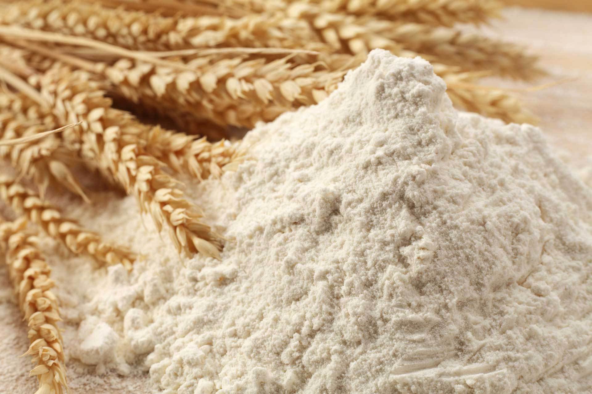 Экспорт мягкой пшеницы в 2019/20 МГ сократится на 21% — КЗС