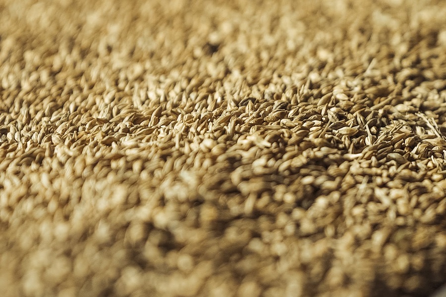 Цена пшеницы на ETS составила 89,5 тенге/тонна