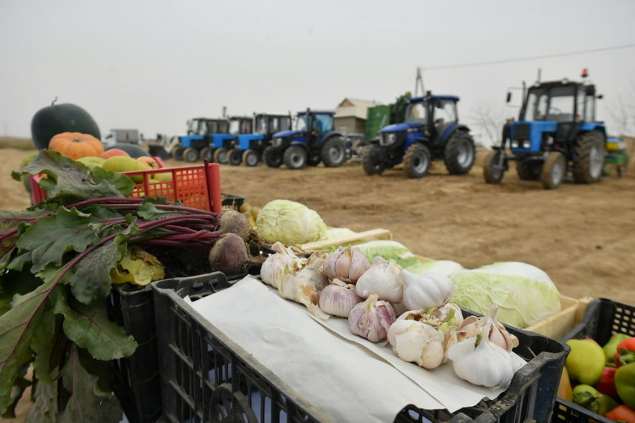 По 5 млн тенге с гектара заработали туркестанские аграрии 