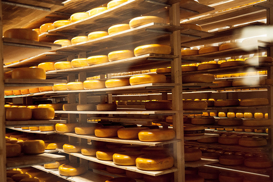Как Казахстану нарастить производство сыров в 100 раз? «Рецепт» Висконсина