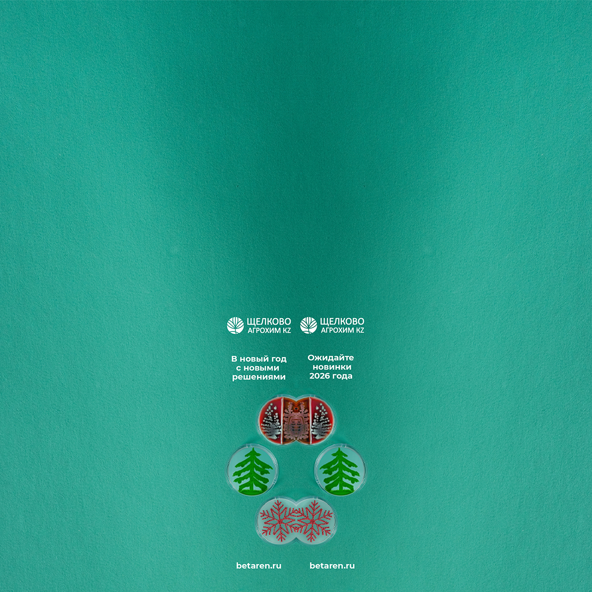 Брендирование Щелково новогоднее 22.12.2025 --