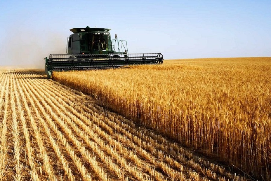 Производство сельхозпродукции в РК сократилось на 2,5%