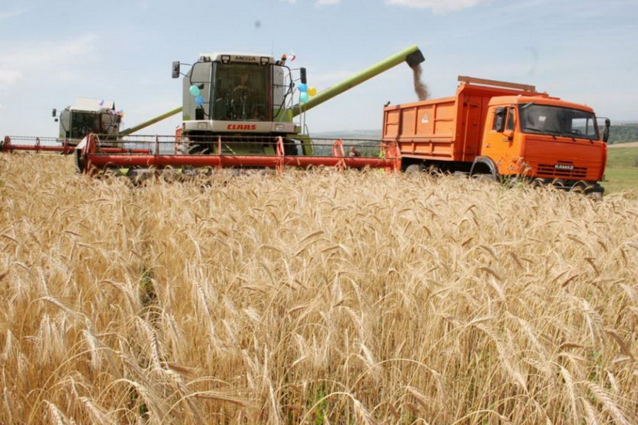 Аграрии Алматинской области собрали 308 тыс. тонн зерновых