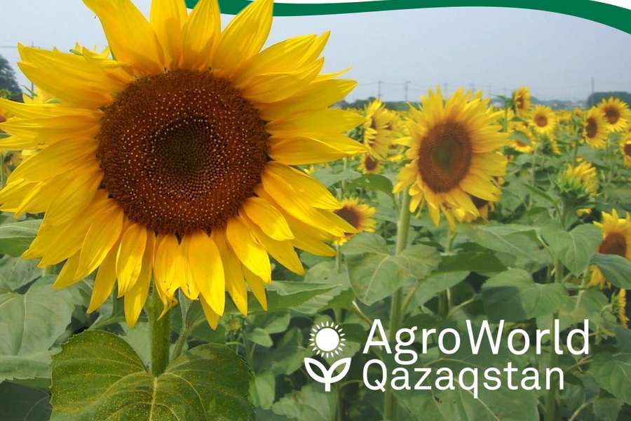 AgroWorld Qazaqstan стартует в Алматы 2 ноября
