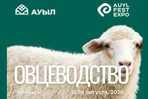 Auyl Fest. Овцеводство 2026