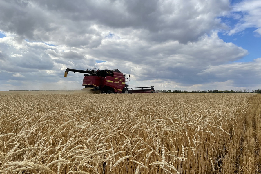 Карабалыкская СХОС получила 22 ц/га пшеницы на залежных землях
