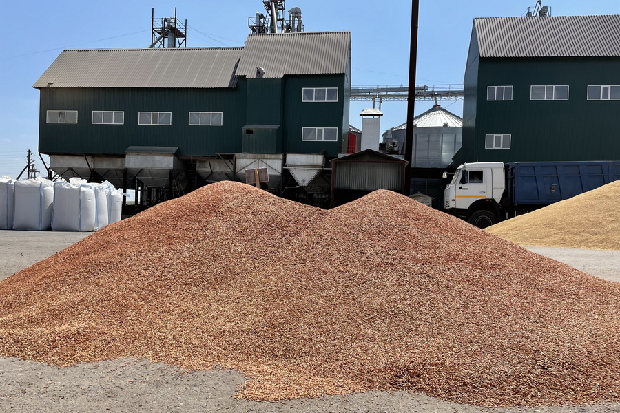 Миллион тонн казахстанского зерна окажется невостребованным 