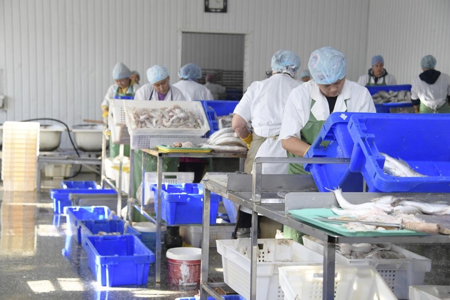 Казахстан за два года экспортировал рыбу на $94 млн
