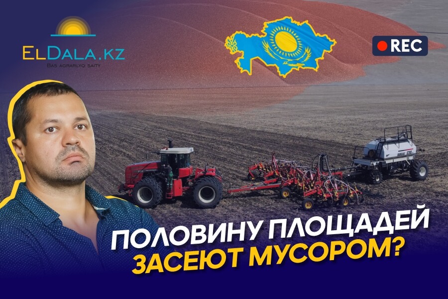 Посев товарной пшеницы в Казахстане — выход или тупик?