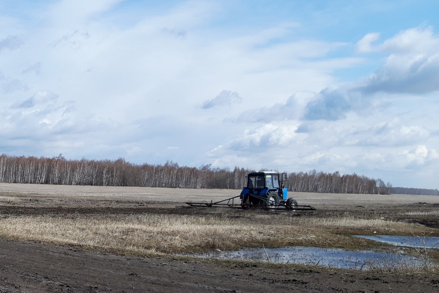 Посевные работы начались в Северо-Казахстанской области 