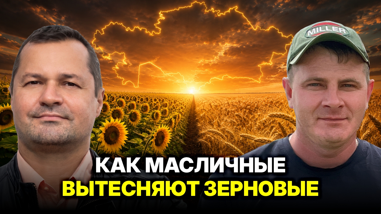 Как правильно выращивать масличные? — КХ «Азия-Тарангул»