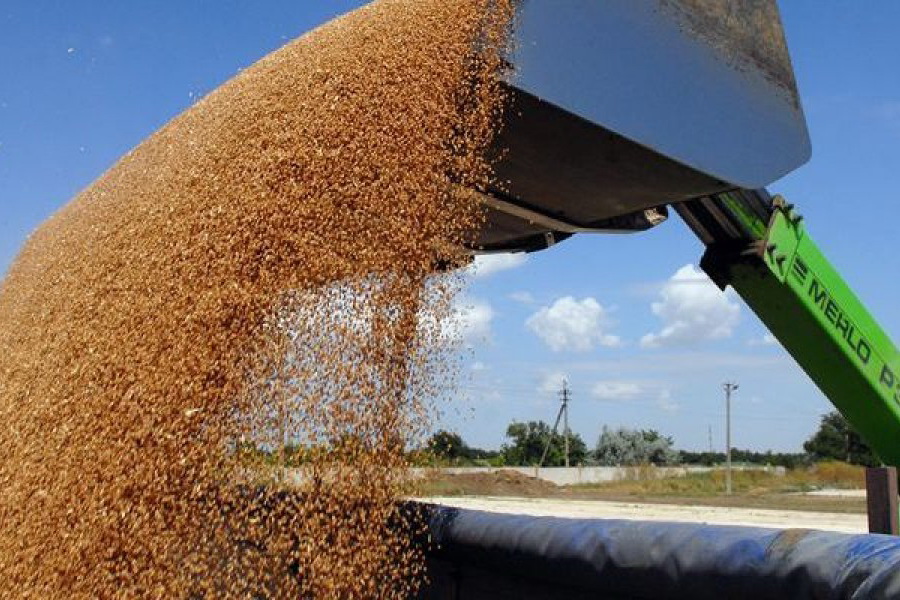 Экспортную квоту на пшеницу в Казахстане могут отменить в июне