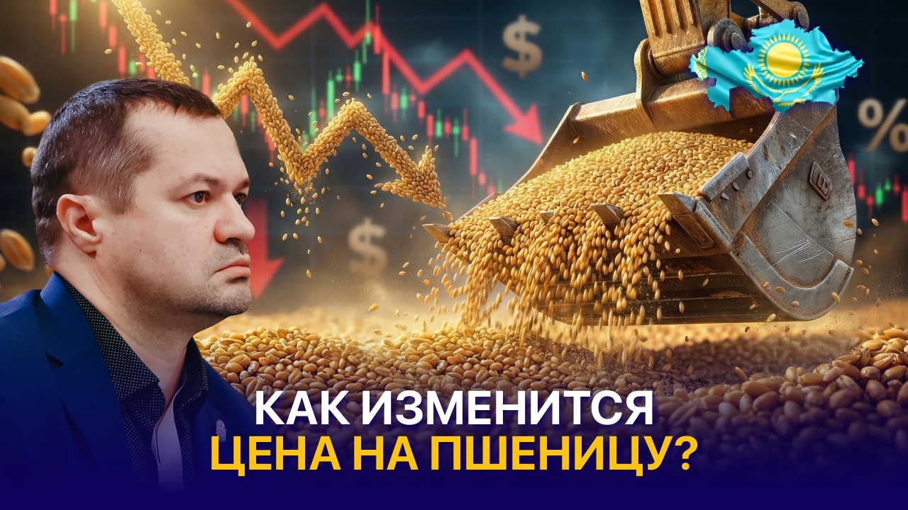 Пять рисков, которые повлияют на цену на пшеницу в Казахстане