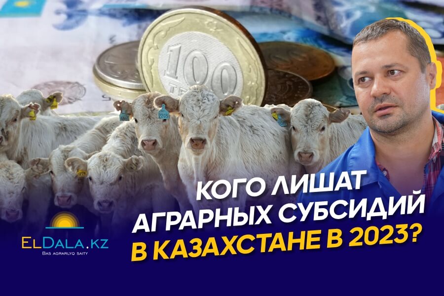 Субсидии фермерам Казахстана 2023: условия, размеры и ключевые изменения в системе компенсаций