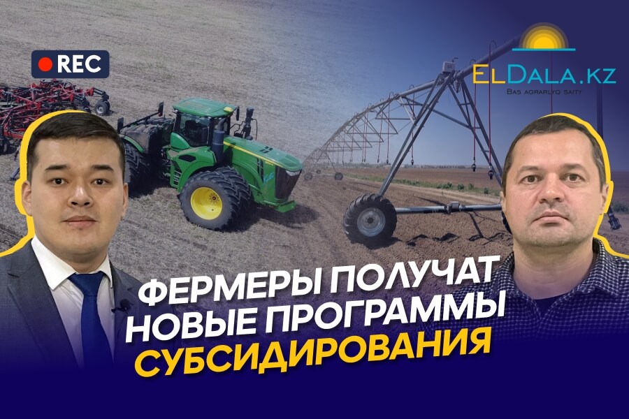 Диверсификация посевов в Казахстане и новые программы поддержки для фермеров — Иргибаев
