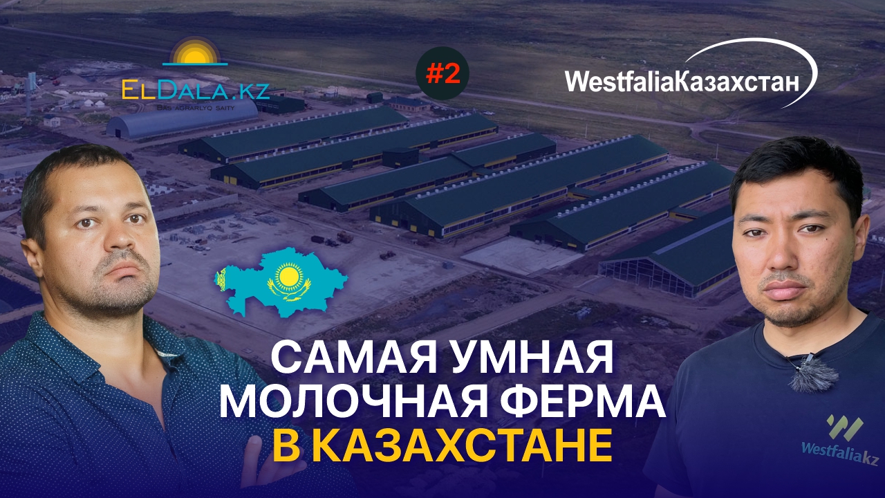 Сауын табыны үшін мінсіз климаттық бақылау. Корнеевкадағы «Атамекен-Агро» СТФ