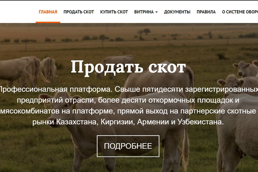 Евразийский мясной союз запустил платформу торговли скотом