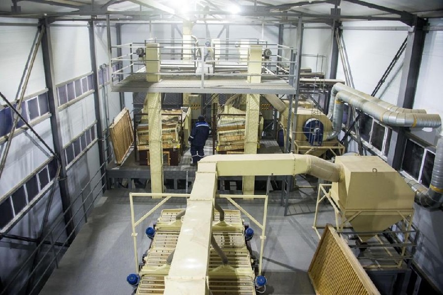 Завод по производству семян запущен в СКО 
